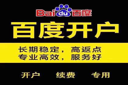 百度优化推广案例：从零开始打造爆款
